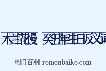 木兰花慢·癸丑年生日反义词是什么意思的图片